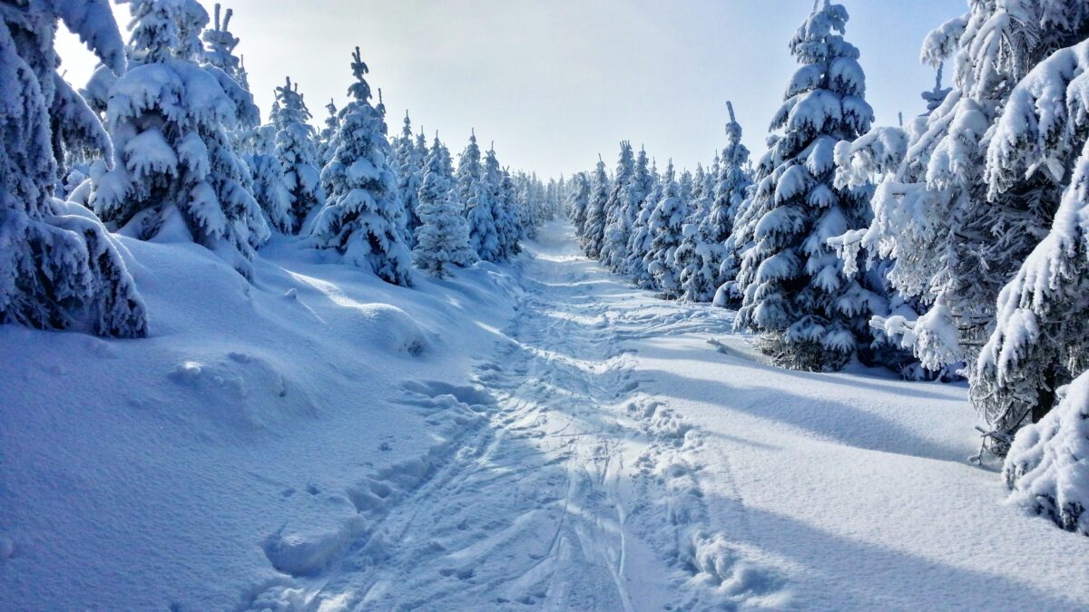 Beginn der Weihnachtsferien (NRW)